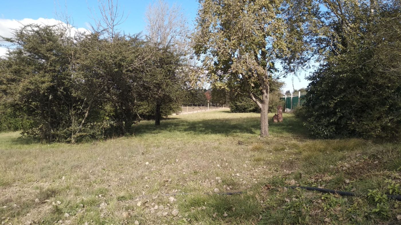 VENTA DE LOTE FRENTE AL LAGO_2