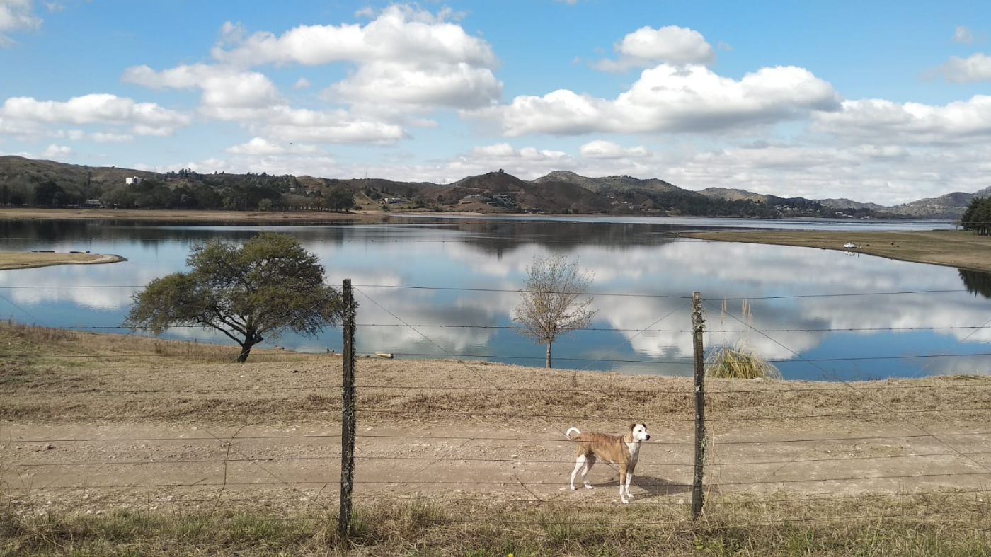 VENTA DE LOTE FRENTE AL LAGO_5