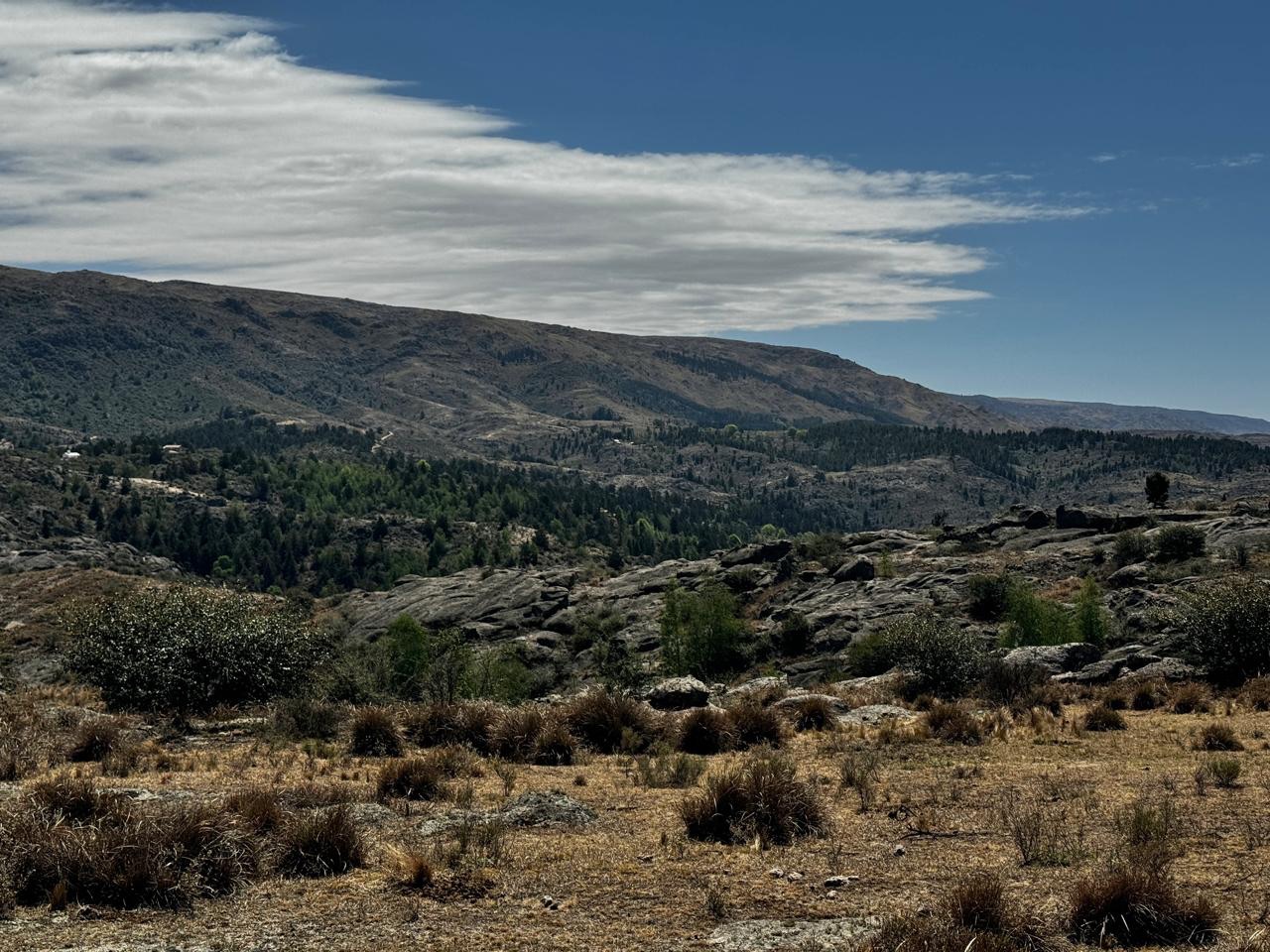 EN VENTA CAMPO EN LA CUMBRECITA _6