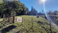 VENTA DE TERRENO EN CUATRO HORIZONTES _thumb_2