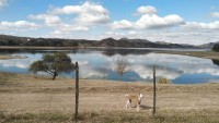 VENTA DE LOTE FRENTE AL LAGO_thumb_5