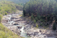 CAMPO CON COSTA 400 MTS LINEALES_thumb_1