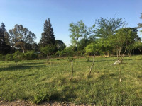 LOTE BARRIO LA GENOVEVA _thumb_1