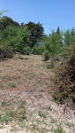 LOTE TOTORALEJO EXCENTE ORIENTACION _thumb_2