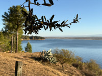 VIVIENDA CONTAINER ACCESO AL LAGO _thumb_21