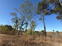 LOTE DE TERRENO EN POTRERILLO _thumb_1