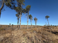 LOTE DE TERRENO EN POTRERILLO _thumb_3