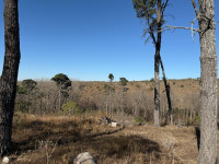LOTE DE TERRENO EN POTRERILLO _thumb_4