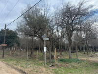 LOTE EN ESQUINA EN CUATRO HORIZONTES_thumb_8