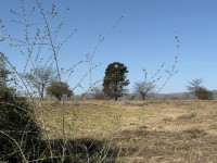 52 LOTES FRENTE AL RIO -5 MZ COMPLETAS _thumb_7