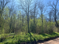 7 LOTES COLINDANTES EN VILLA CIUDAD PARQUE_thumb_35