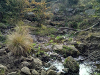 FRACCIÓN DE 15 HAS 714M2 SOBRE LA RUTA EN ATHOS PAMPA_thumb_1