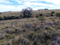 FRACCIÓN DE 15 HAS 714M2 SOBRE LA RUTA EN ATHOS PAMPA_thumb_5