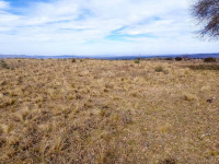 FRACCIÓN DE 15 HAS 714M2 SOBRE LA RUTA EN ATHOS PAMPA_thumb_7