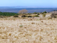 FRACCIÓN DE 15 HAS 714M2 SOBRE LA RUTA EN ATHOS PAMPA_thumb_9