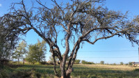HERMOSO LOTE DE 1HA 20M2 CON DOBLE INGRESO EN LOS REARTES_thumb_6