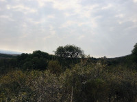 HECTÁREA 50 ML SOBRE RUTA Nº5_thumb_0