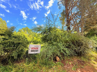 OPORTUNIDAD DE INVERSIÓN INTEGRAL EN INTIYACO FRENTE AL RÍO_thumb_47