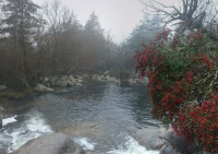 AMPLIO LOTE EN LA CUMBRECITA CON BAJADA AL LAGO LAS TRUCHAS_thumb_0