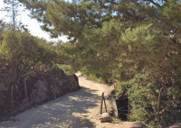 AMPLIO LOTE EN LA CUMBRECITA CON BAJADA AL LAGO LAS TRUCHAS