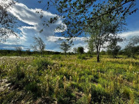 AMPLIO LOTE SOBRE AVENIDA SAN MARTÍN EN VILLA GENERAL BELGRANO_thumb_0