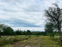 AMPLIO LOTE SOBRE AVENIDA SAN MARTÍN EN VILLA GENERAL BELGRANO_thumb_1