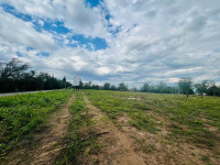 AMPLIO LOTE SOBRE AVENIDA SAN MARTÍN EN VILLA GENERAL BELGRANO_thumb_4