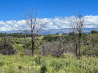 FRACCIÓN DE 7 HAS 1608M2 EN ATHOS PAMPA_thumb_0