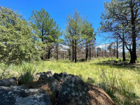 FRACCIÓN DE 7 HAS 1608M2 EN ATHOS PAMPA_thumb_1