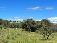 FRACCIÓN DE 7 HAS 1608M2 EN ATHOS PAMPA_thumb_4