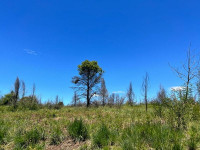 FRACCIÓN DE 7 HAS 1608M2 EN ATHOS PAMPA_thumb_5