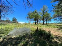 FRACCIÓN DE 7 HAS 1608M2 EN ATHOS PAMPA