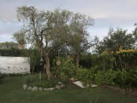 RESIDENCIA DE DISEÑO EN LAS DELICIAS, CÓRDOBA_thumb_23