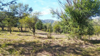 HERMOSO LOTE EN VILLA GENERAL BELGRANO_thumb_0