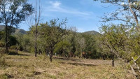 HERMOSO LOTE EN VILLA GENERAL BELGRANO_thumb_2