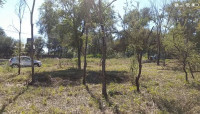 HERMOSO LOTE EN VILLA GENERAL BELGRANO_thumb_3