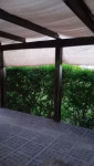 VENTA DE VIVIENDA EN LOS REARTES_thumb_17