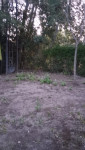 VENTA DE VIVIENDA EN LOS REARTES_thumb_19