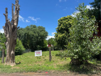 VENTA DE LOTE EN AV. LOS REARTES_thumb_1